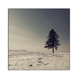 dailyPhoto20